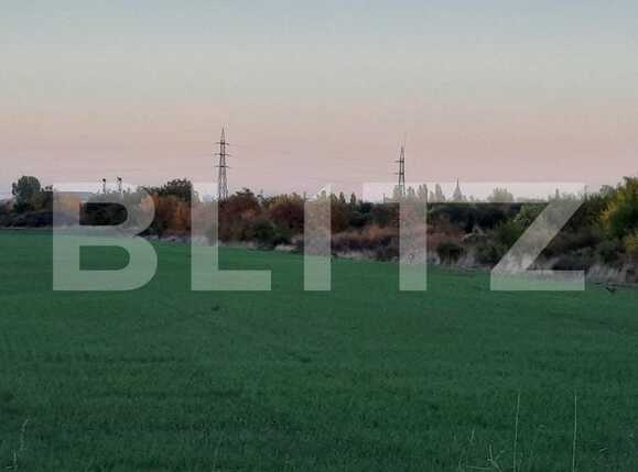 Teren de vânzare Ronat - 84958TV | BLITZ Timișoara | Poza3