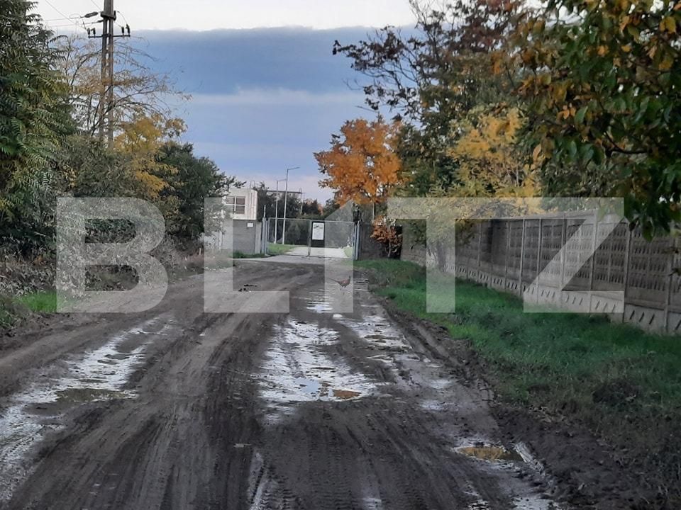 Teren de vânzare Ronat - 84958TV | BLITZ Timișoara | Poza4