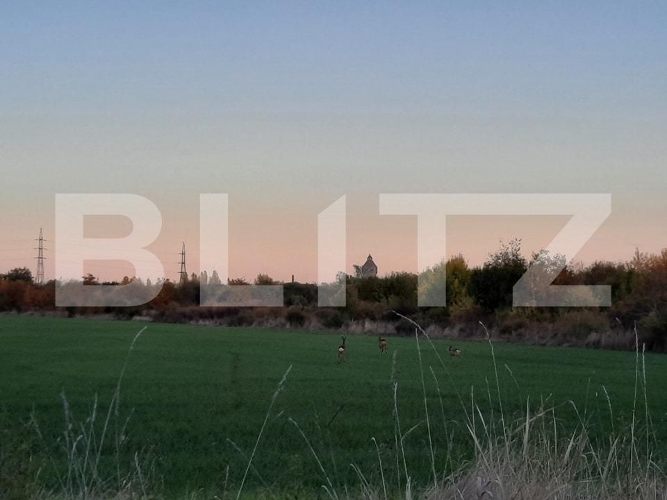 Teren de vânzare Ronat - 84958TV | BLITZ Timișoara | Poza2