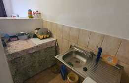 Apartament cu 1 camera, 20 mp, zona Steaua