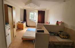 Apartament cu 1 camera, 20 mp, zona Steaua