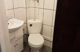 Garsoniera cu 40 mp, zona Buziasului