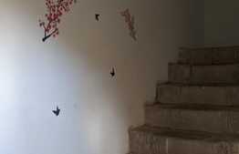 Casa de vanzare, 457 mp utili, ideala pentru investitie, Lipovei