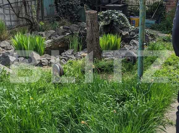 Casa de vânzare 12 camere Lipovei - 85079CV | BLITZ Timișoara | Poza2