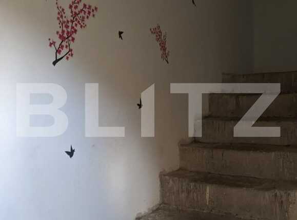 Casa de vânzare 12 camere Lipovei - 85079CV | BLITZ Timișoara | Poza8