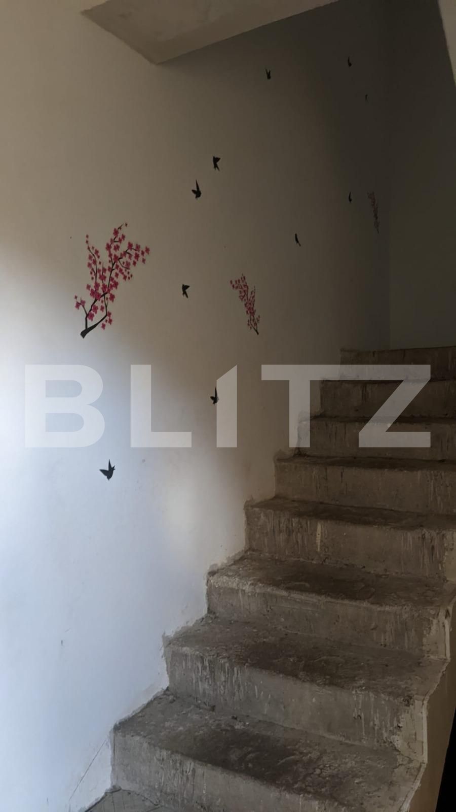 Casa de vânzare 12 camere Lipovei - 85079CV | BLITZ Timișoara | Poza8