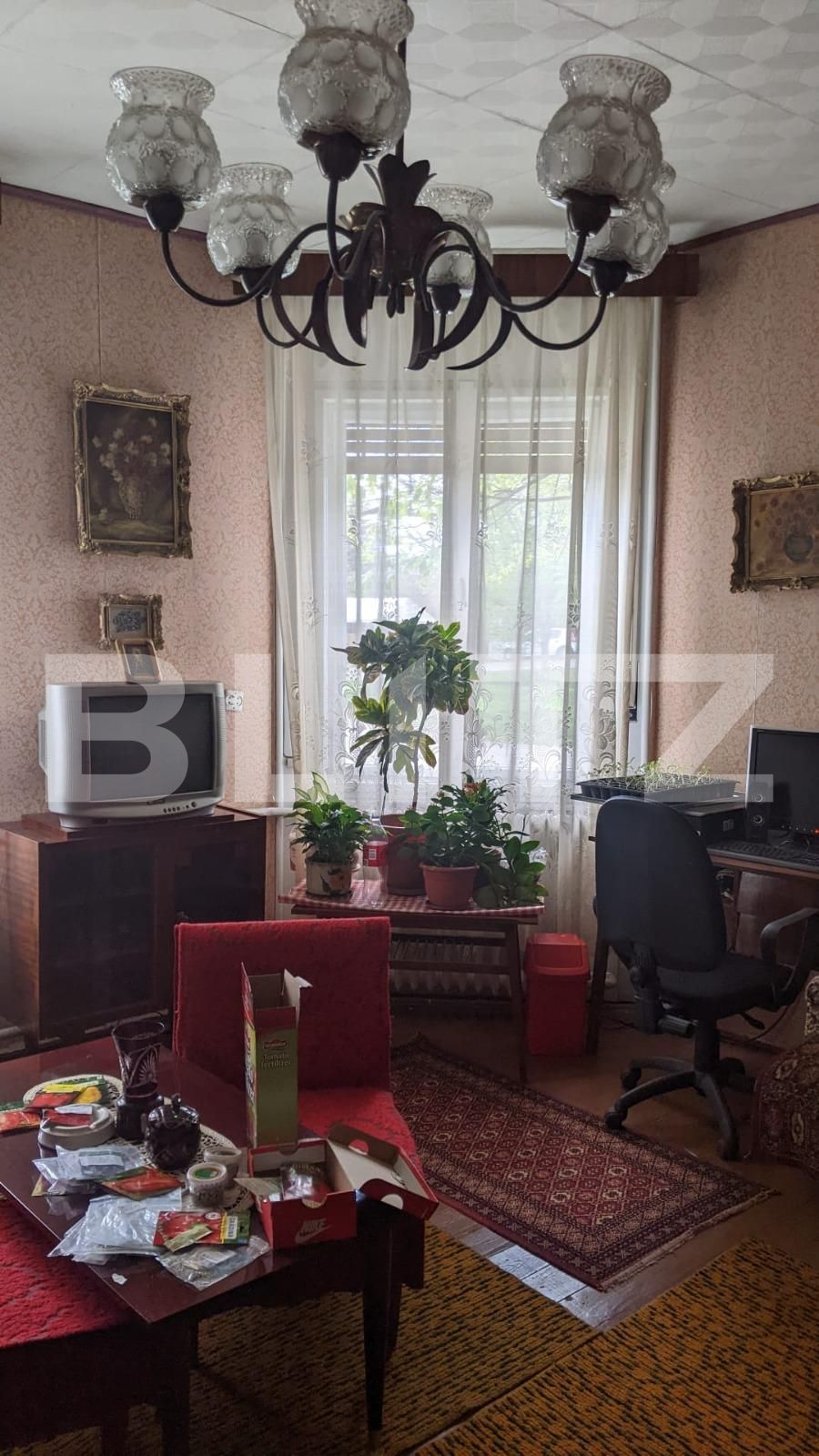 Casa de vânzare 12 camere Lipovei - 85079CV | BLITZ Timișoara | Poza11