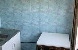 Grasoniera de 22 mp, etaj intermediar, zona Buziasului 