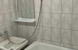 Grasoniera de 22 mp, etaj intermediar, zona Buziasului 