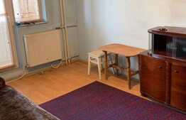 Grasoniera de 22 mp, etaj intermediar, zona Buziasului 