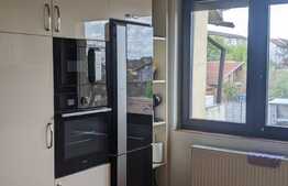 Casa de 457 mp utili, ideala pentru activitati comerciale, Lipovei