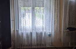 Casa de 457 mp utili, ideala pentru activitati comerciale, Lipovei