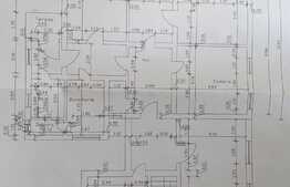 Casa de 457 mp utili, ideala pentru activitati comerciale, Lipovei