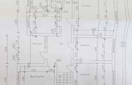 Casa de 457 mp utili, ideala pentru activitati comerciale, Lipovei