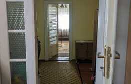 Casa de 457 mp utili, ideala pentru activitati comerciale, Lipovei