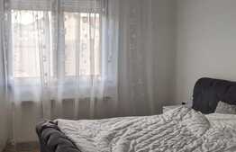 Casa de 457 mp utili, ideala pentru activitati comerciale, Lipovei