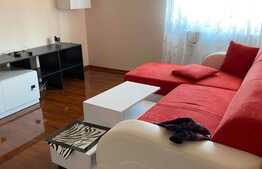 Apartament 2 camere, 46 mp, zona Dacia 