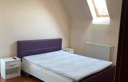 Apartament 2 camere, 46 mp, zona Dacia 