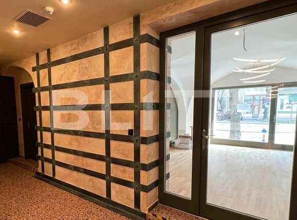 Spațiu comercial de închiriat Central - 85178SIC | BLITZ Timișoara | Poza4