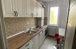 Apartament 2 camere, 50 mp, mobilat modern, zona Garii