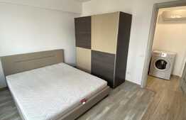 Apartament 2 camere, 50 mp, mobilat modern, zona Garii