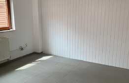 Spatiu comercial potential SAD, 270 mp,  parcare, Iuliu Maniu