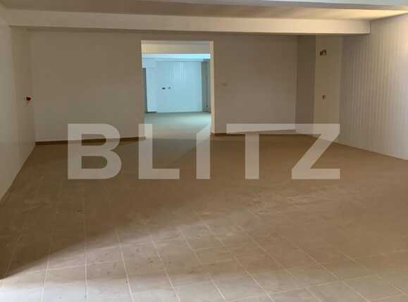 Spațiu comercial de închiriat Sagului - 85197SIC | BLITZ Timișoara | Poza5