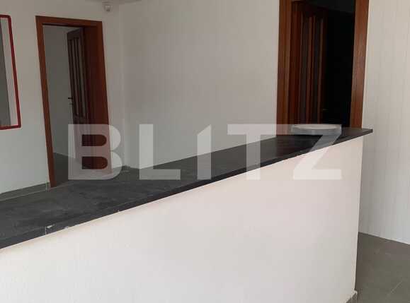 Spațiu comercial de închiriat Sagului - 85197SIC | BLITZ Timișoara | Poza2