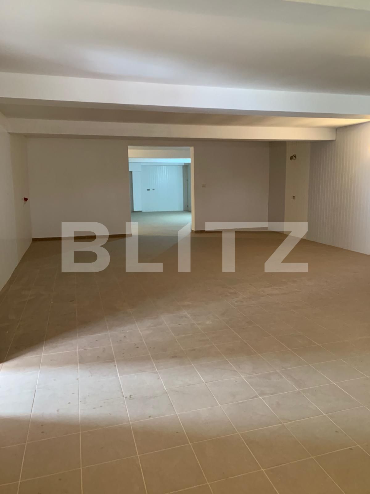 Spațiu comercial de închiriat Sagului - 85197SIC | BLITZ Timișoara | Poza5