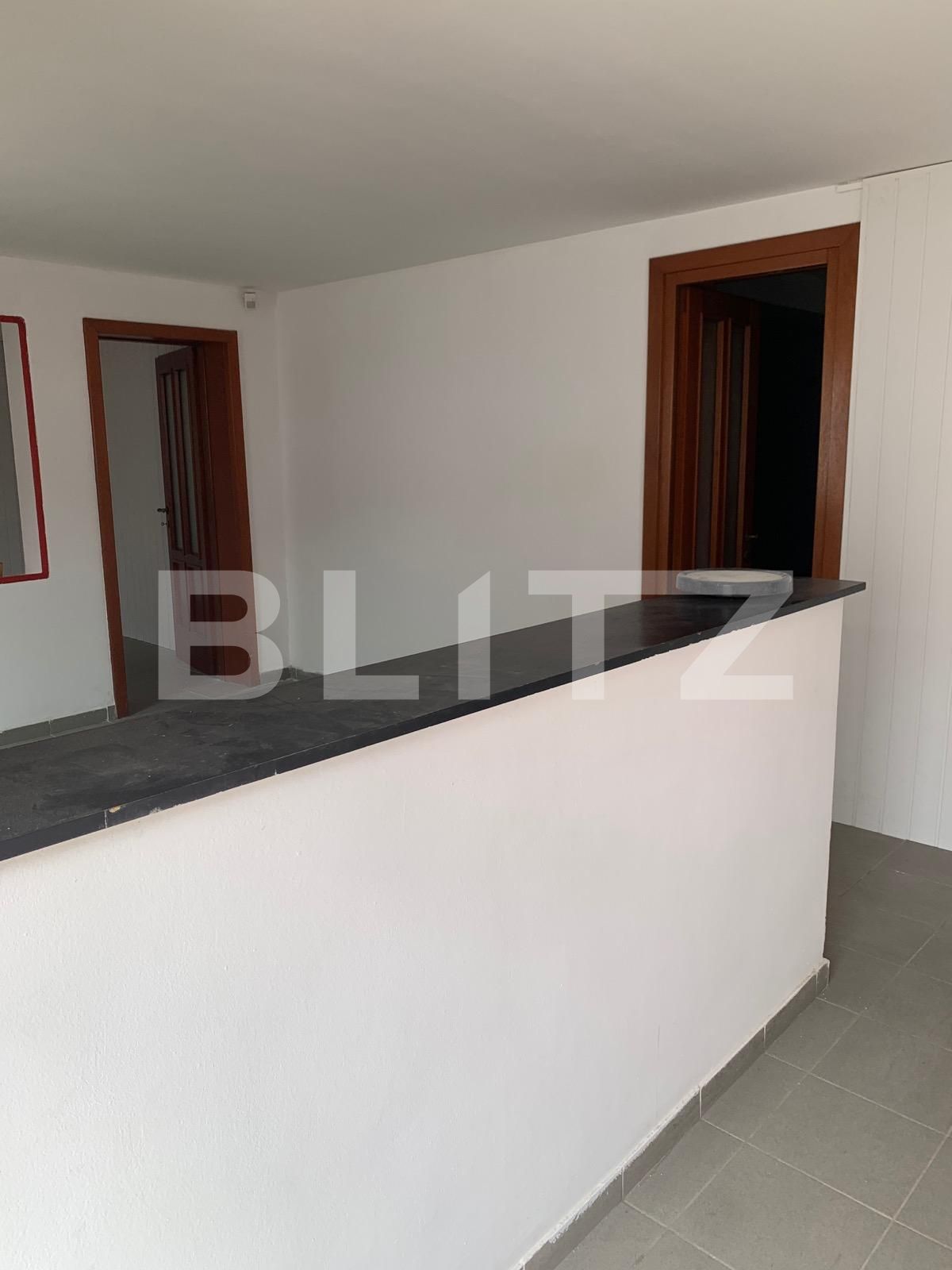 Spațiu comercial de închiriat Sagului - 85197SIC | BLITZ Timișoara | Poza2