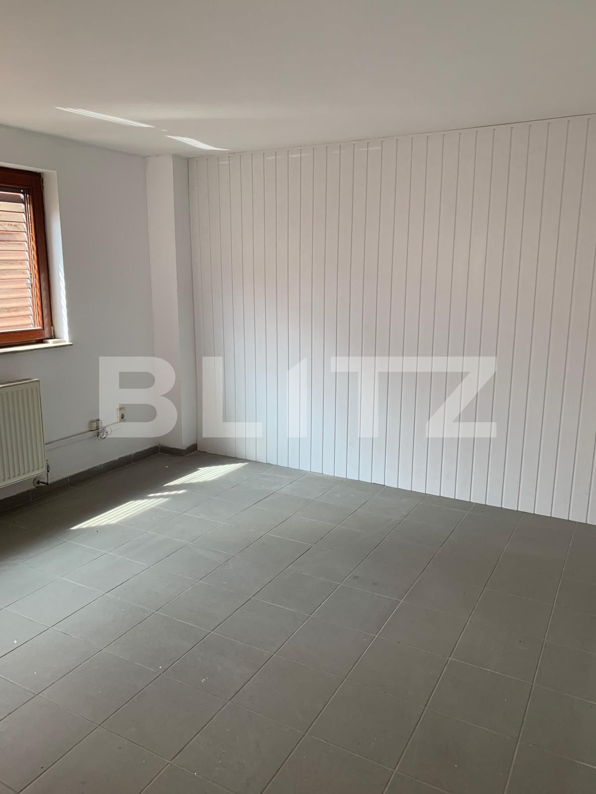 Spațiu comercial de închiriat Sagului - 85197SIC | BLITZ Timișoara | Poza4