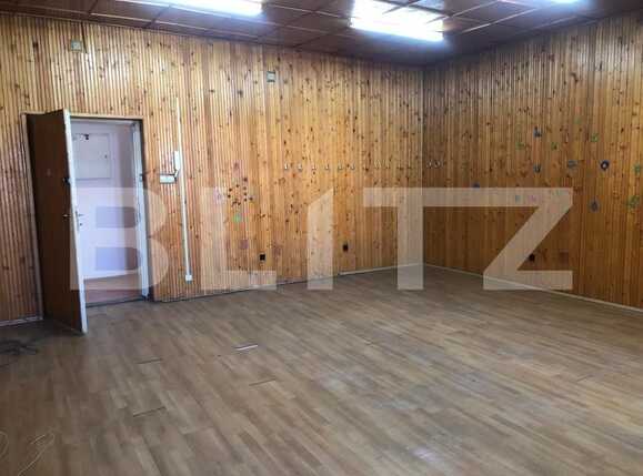 Spațiu comercial de închiriat Punctele Cardinale - 85231SIC | BLITZ Timișoara | Poza11