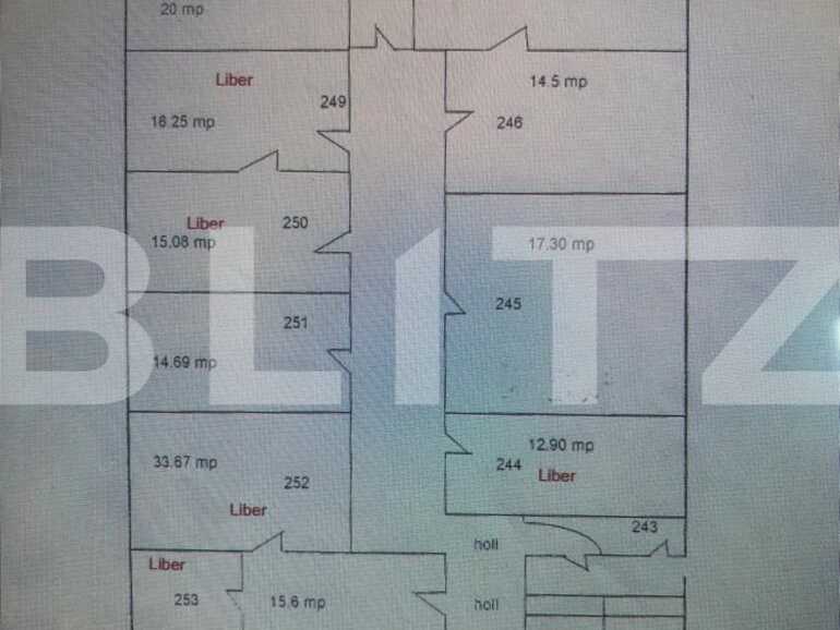 Spațiu comercial de închiriat Punctele Cardinale - 85231SIC | BLITZ Timișoara | Poza3