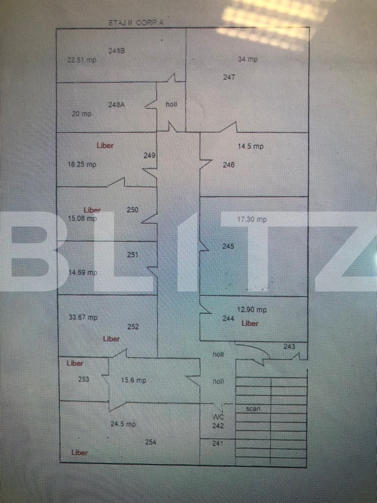 Spațiu comercial de închiriat Punctele Cardinale - 85231SIC | BLITZ Timișoara | Poza3