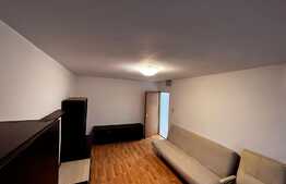 Apartament 2 camere, 50 mp, zona Fabric