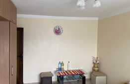 Investitie! Garsoniera 27 mp, zona Blascovici