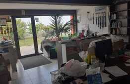 Hala de 245 mp, teren de 2198 mp, pe artera principala, Dumbravita