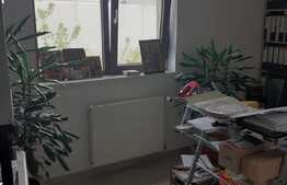 Hala de 245 mp, teren de 2198 mp, pe artera principala, Dumbravita