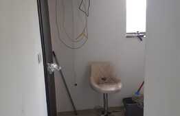 Hala de 245 mp, teren de 2198 mp, pe artera principala, Dumbravita