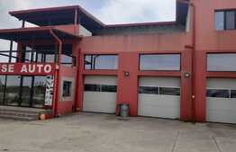 Hala de 245 mp, teren de 2198 mp, pe artera principala, Dumbravita