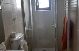 Hala de 245 mp, teren de 2198 mp, pe artera principala, Dumbravita