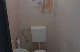 Hala de 245 mp, teren de 2198 mp, pe artera principala, Dumbravita