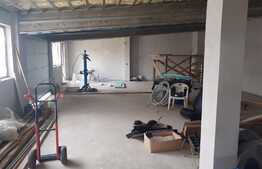 Hala de 245 mp, teren de 2198 mp, pe artera principala, Dumbravita