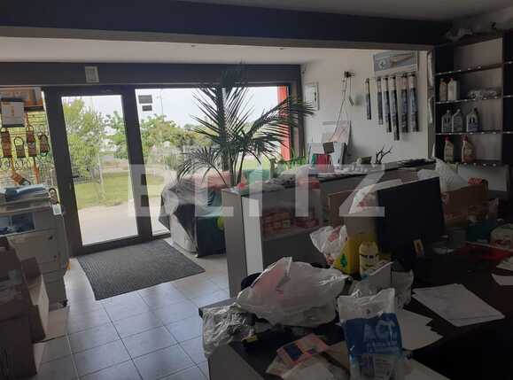 Spațiu industrial de vânzare Dumbravita - 85725SVI | BLITZ Timișoara | Poza16