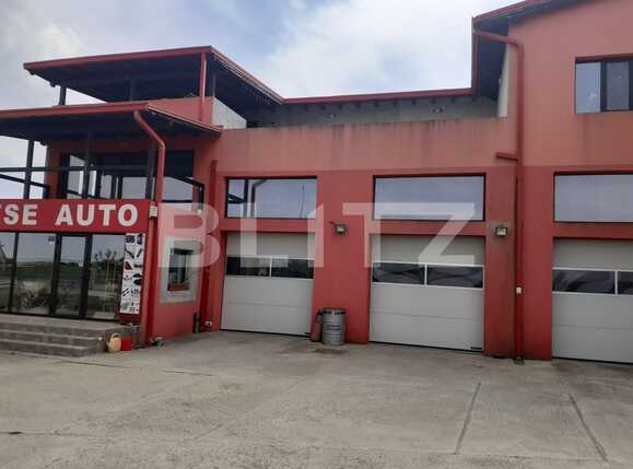 Spațiu industrial de vânzare Dumbravita - 85725SVI | BLITZ Timișoara | Poza1