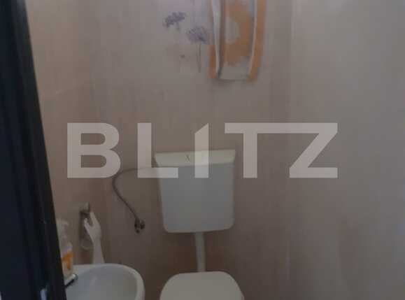 Spațiu industrial de vânzare Dumbravita - 85725SVI | BLITZ Timișoara | Poza8