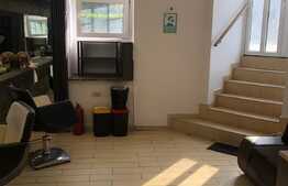 Spatiu comercial, 50 mp, SAD, Badea Cartan!