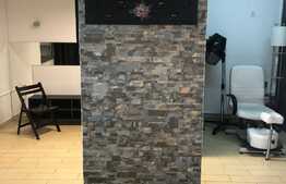 Spatiu comercial, 50 mp, SAD, Badea Cartan!