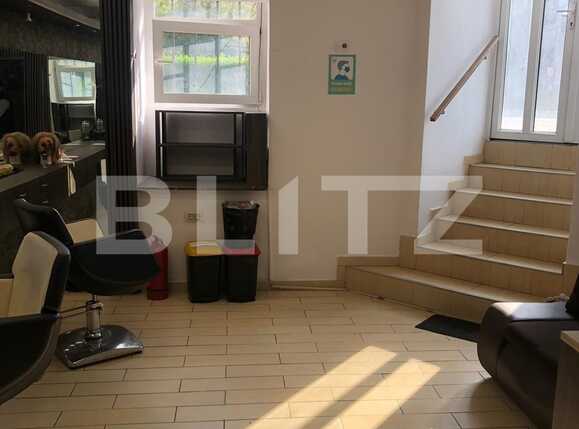 Spațiu comercial de vânzare Badea Cartan - 85757SVC | BLITZ Timișoara | Poza2