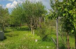 Casa individuala de 120 mp, 3000 mp teren, zona turistica Nadrag!